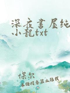 深夜书屋纯洁滴小龙txt