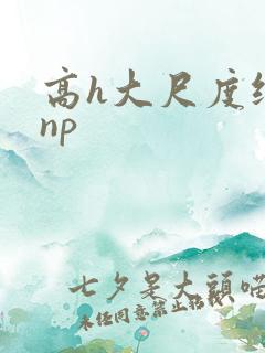 高h大尺度纯肉np