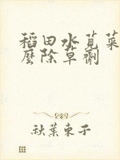 稻田水苋菜用什么除草剂