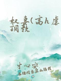 奴妻(高h虐身调教