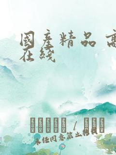 国产精品 高清在线