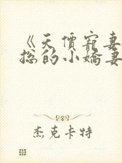 《天价宠妻:霍总的小娇妻》