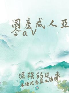 国产成人亚洲综合a∨