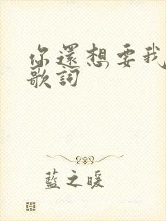 你还想要我怎样歌词