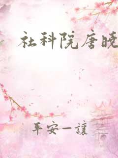 社科院唐晓峰