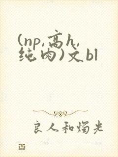 (np,高h,纯肉)文bl