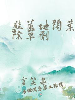 韭菜地阔叶杂草除草剂