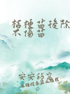 桔梗苗后除草剂不伤苗