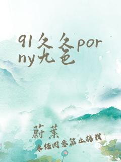 91久久porny九色