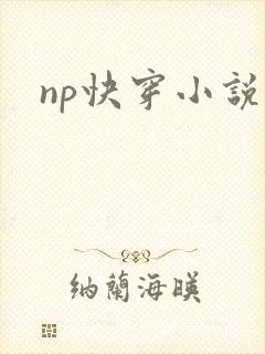 np快穿小说h