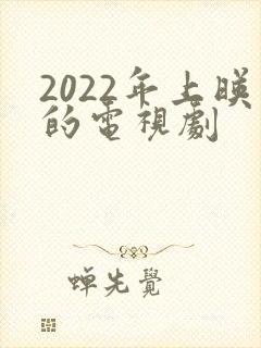 2022年上映的电视剧