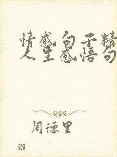 情感句子精辟的人生感悟句子