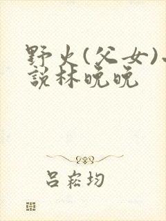 野火(父女)小说林晚晚