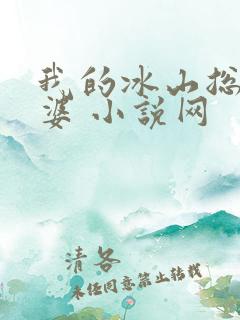 我的冰山总裁老婆 小说网