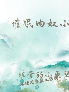 催眠肉奴小说