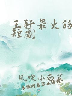 王轩最火的十部短剧
