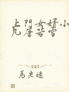 上门女婿小说叶凡唐若雪