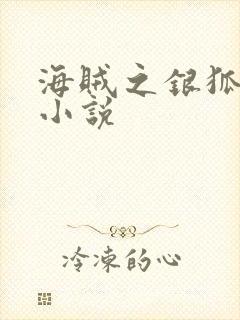 海贼之银狐大将小说