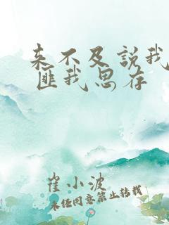 来不及说我爱你 匪我思存