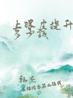 上眼皮提升手术多少钱