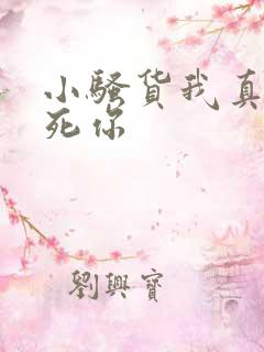 小骚货我真想操死你