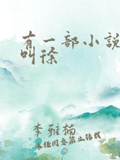 有一部小说主角叫徐