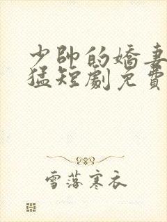 少帅的娇妻很凶猛短剧免费看
