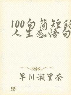 100句简短的人生感悟句子