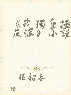 《我独自拯救女反派》小说