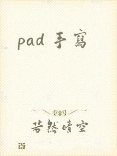 pad 手写