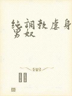 纯调教虐身惩罚男奴
