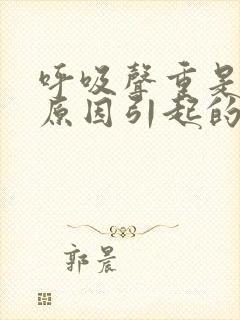呼吸声重是什么原因引起的
