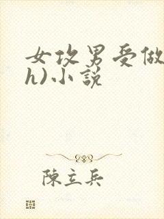 女攻男受做哭(h)小说