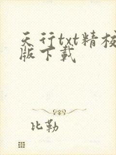 天行txt精校版下载