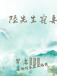 陆先生宠妻无度