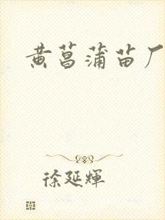 黄菖蒲苗厂家