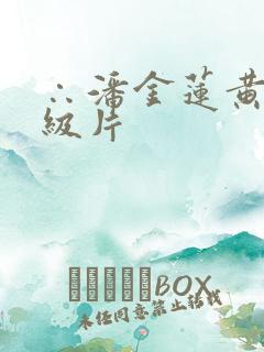 ∴潘金莲黄色一级片