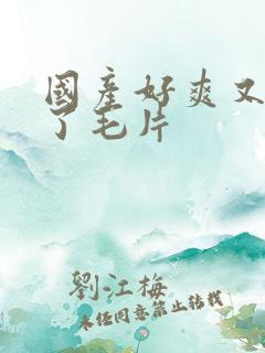 国产好爽又高潮了毛片