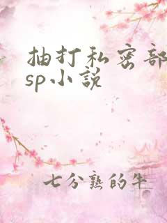 抽打私密部调教sp小说