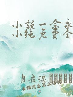 小说一念永恒白小纯免费全文阅读