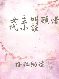女主叫顾惜的现代小说