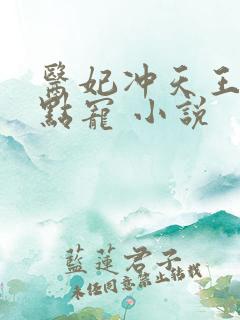 医妃冲天王爷轻点宠 小说