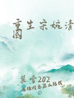 重生宋婉清赵振国