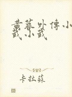 黄蓉外传小之大武小武