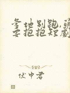 爹地别跑,萌宝要抱抱短剧