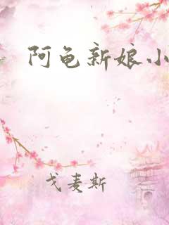 阿龟新娘小说