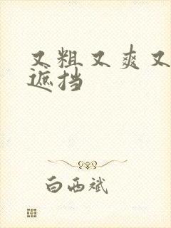 又粗又爽又色无遮挡