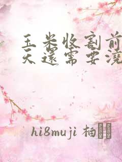 玉米收割前二十天还需要浇水吗