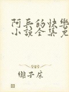 阿兵的快乐生活小说全集免费阅读