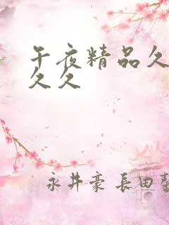 午夜精品久久久久久